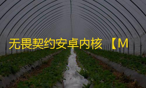 无畏契约安卓内核 【MoMo】三外挂
